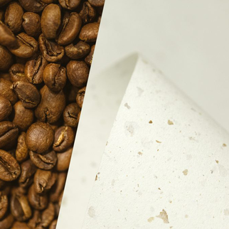 Хартия от какао и кафе? Защо не! | J Point Plus