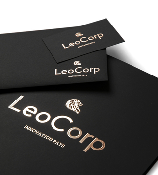 Папка LeoCorp с liquid gold фолио | J Point Plus
