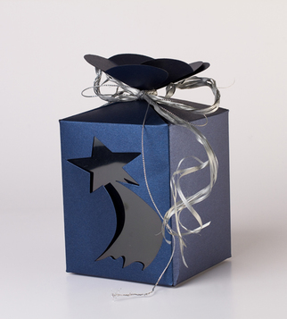 Луксозна подаръчна кутия от перлен картон | J Point Plus